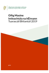 Annual Report Irish 2019 thumbnail