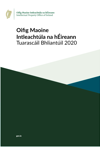 Annual Report Irish 2020 thumbnail